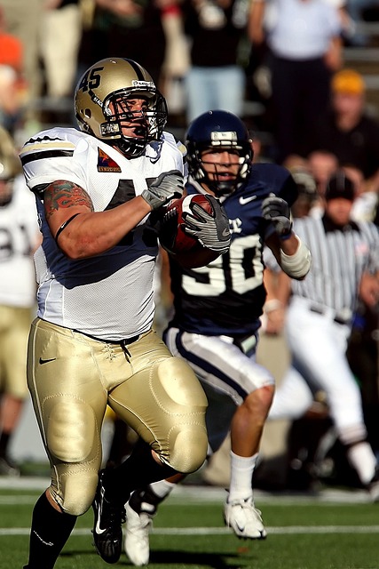 动画电影 动画电影